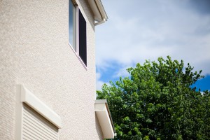 IMG_9863